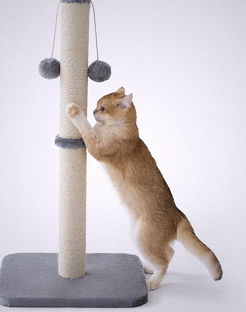 Lesure Kratzsäule Mittelgroßer Für Katzen Indoor - 36X36X74Cm Kratzstamm Mit Hän