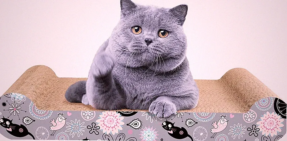 LIKEA Kratzbrett aus Karton für Katzen, gewellt, Katze mit Katzenminze