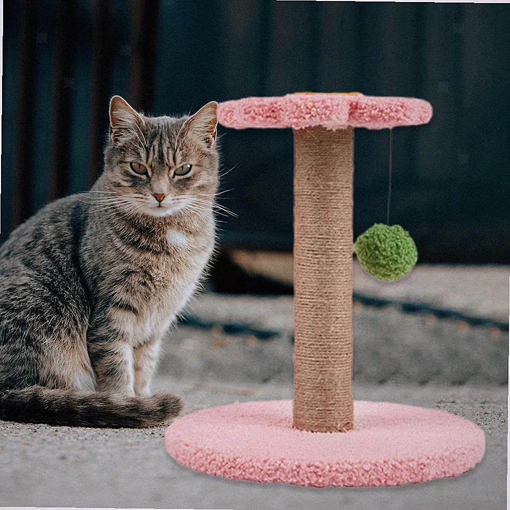 Lustiger Katzenkratzbaum Interaktives Spielzeug Kratzfest Anti Kratzer