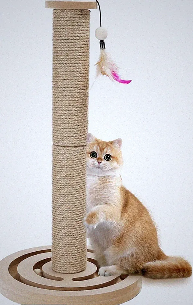 Nobleza 3 in 1 Interaktives Katzenspielzeug, Katze Sisal Seil Massierender