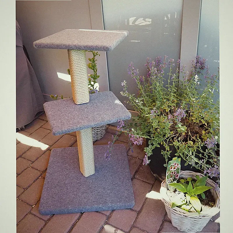 kratzbaum katze balkon