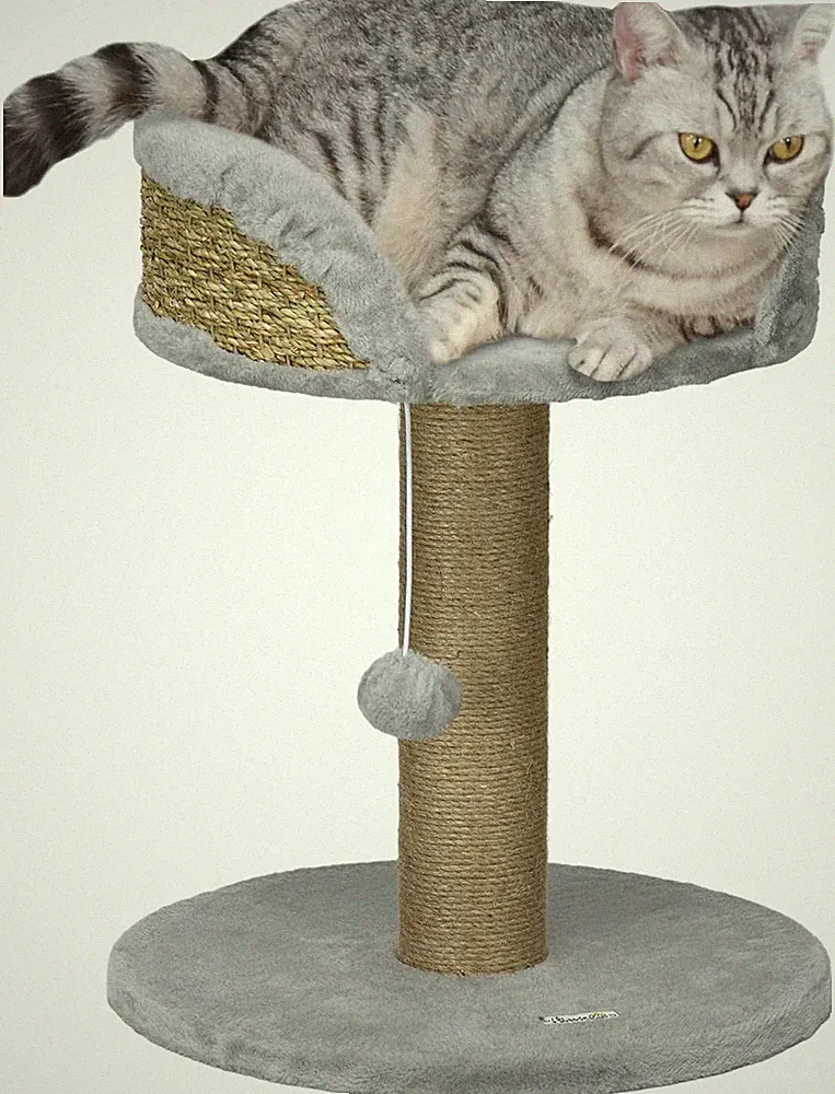 PawHut Kratzbaum 49 cm Kleiner Katzenturm mit Spielball, Sisalstämme