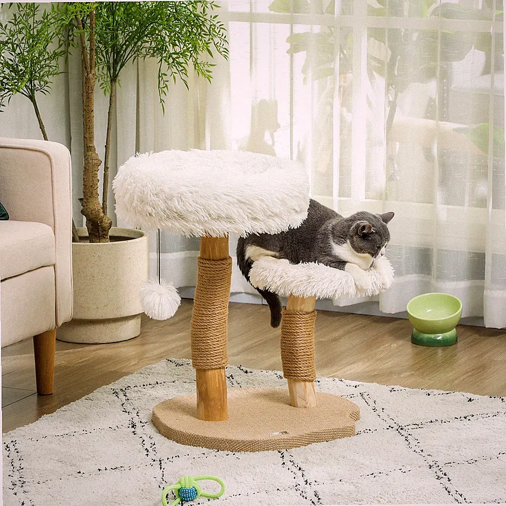 PawHut Kratzbaum 61,5 cm hoch Katzenkratzbaum mit Spielball, Betten, Kratzstamm