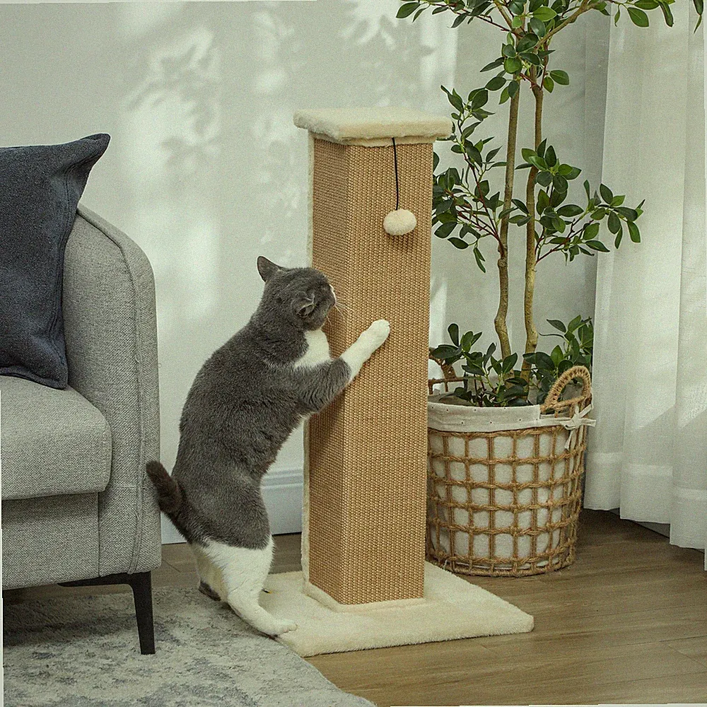 PawHut Kratzstamm, 81cm Kratzsäule, Katzenkratzbaum mit Kratzball