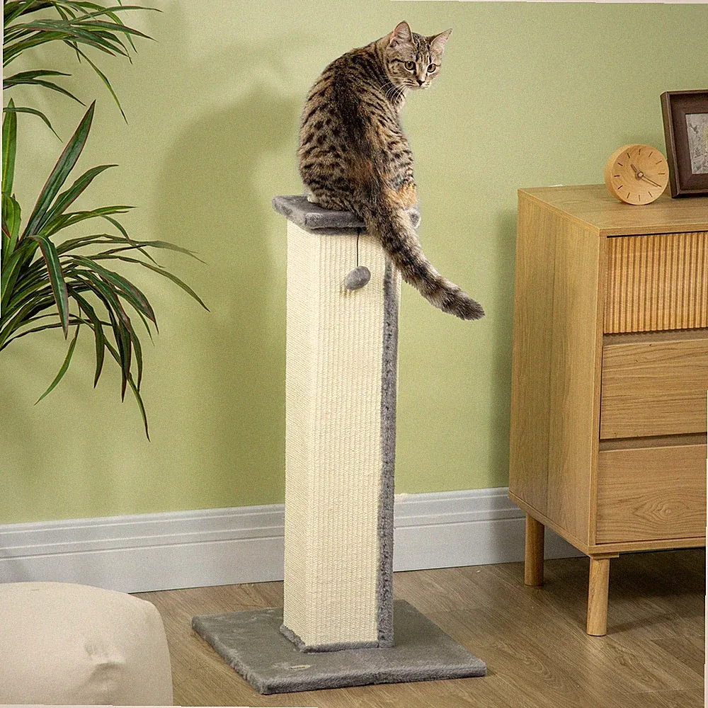 PawHut Kratzstamm, 81cm Kratzsäule, Sisal-Katzenkratzbaum mit Kratzball, Grau