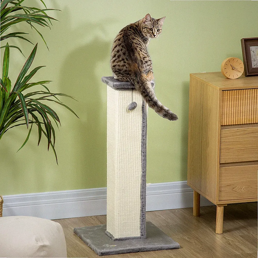 PawHut Kratzstamm, 81cm Kratzsäule, Sisal-Katzenkratzbaum mit Kratzball, Grau