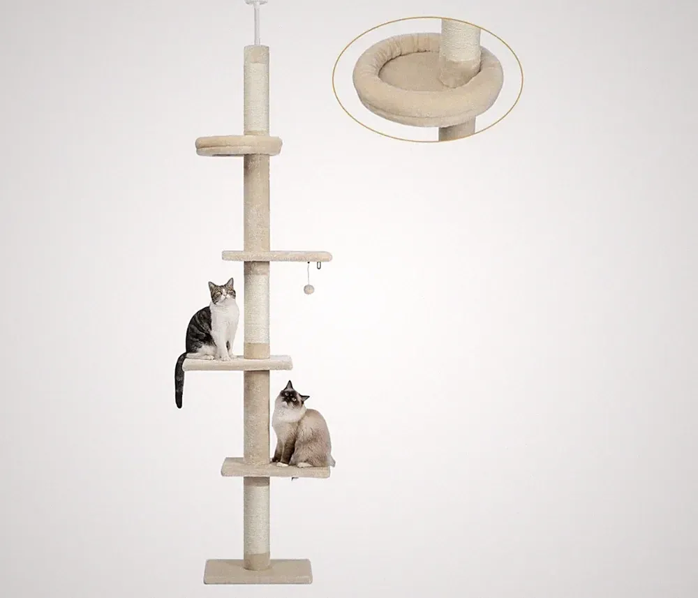 PAWZ Road Kratzbaum vom Boden bis zur Decke, 5-stufiger Katzenturm Kletterbaum Höhe...