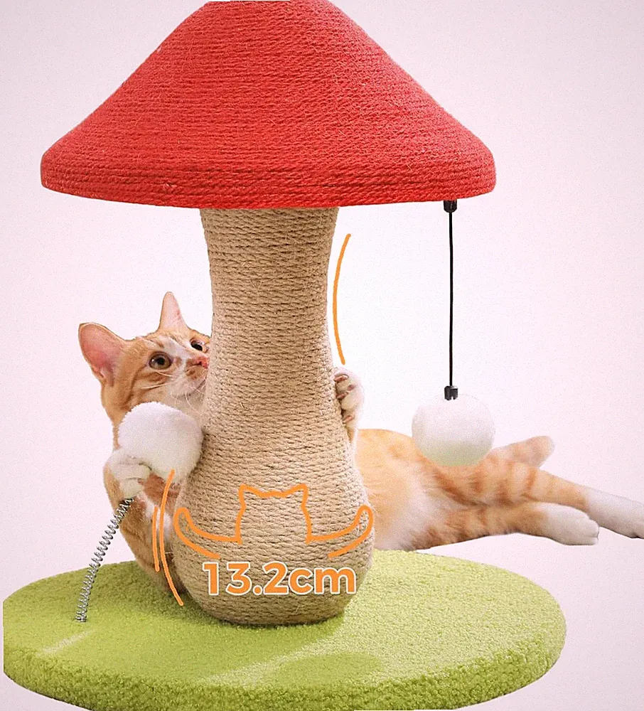 PAWZ Road Süßer Katzenkratzbaum, Pilz-Katzenkratzer Mit Einem Kratzbaum Komplett