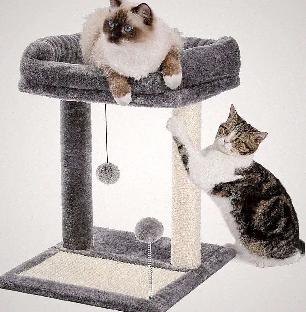PETEPELA Katzenkratzbaum Modern Katzenkratzbrett Klein Mittel