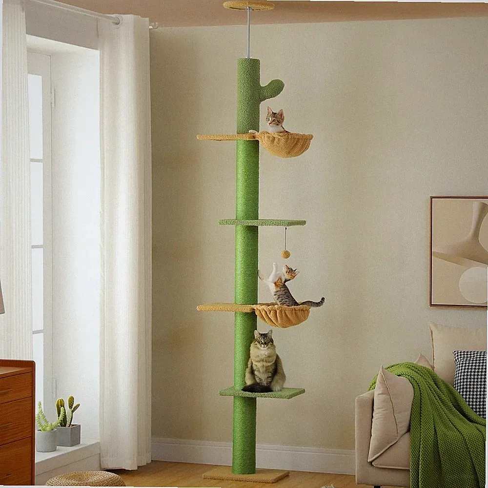 Grün Deckenspanner Kratzbaum