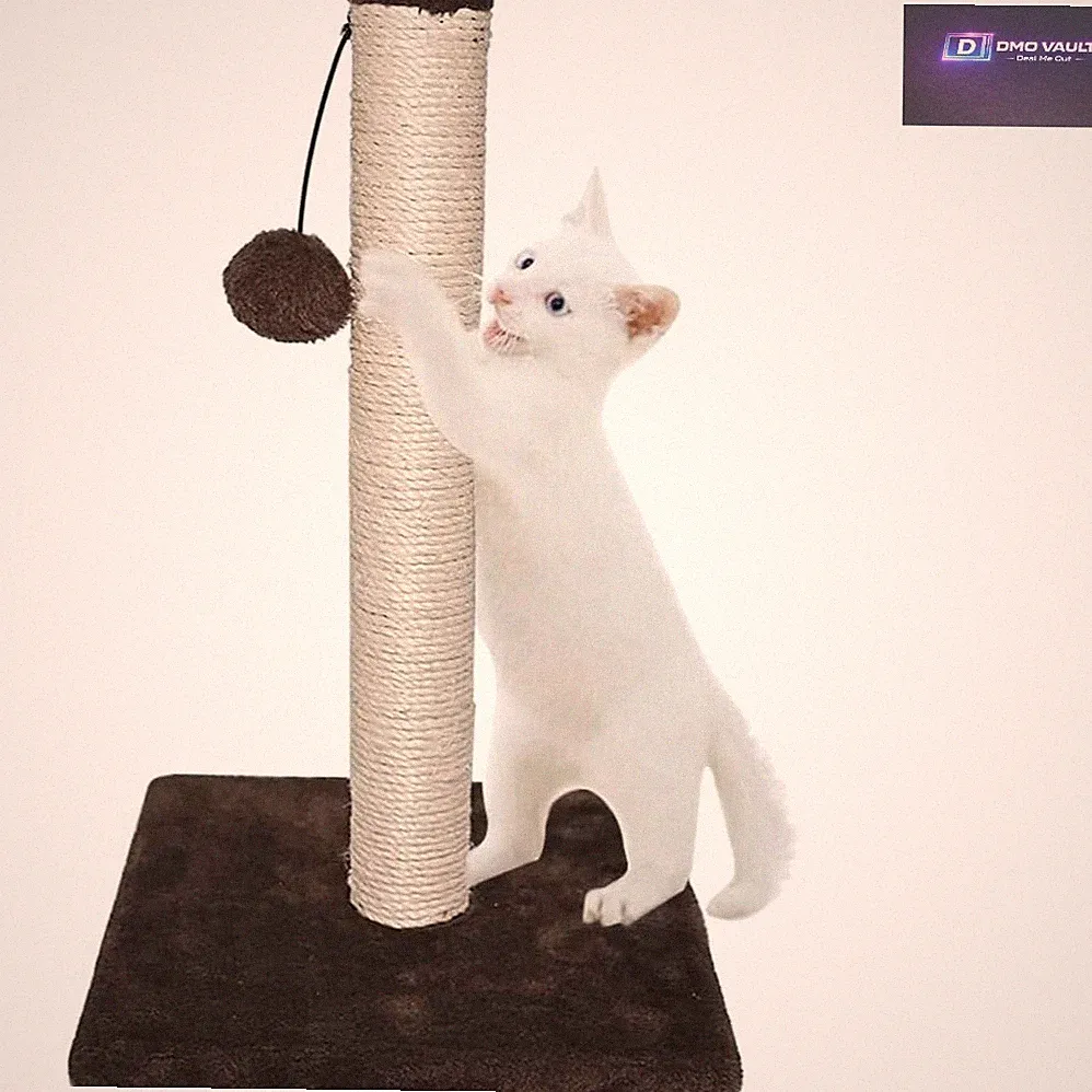 Robuster brauner Katzenkratzbaum für große Rassen - 40 cm Anti-Kratz-Design