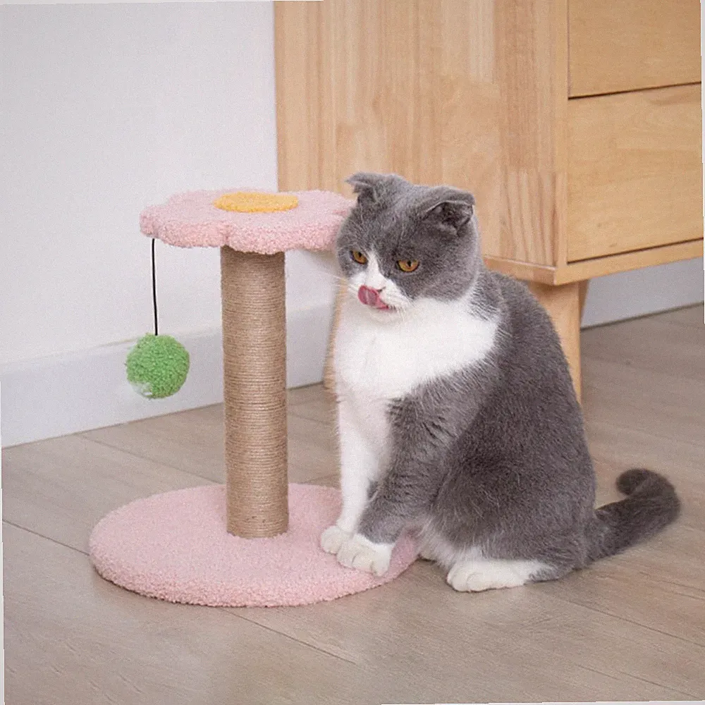 Robuster Katzenkratzbaum Kratzbaum Interaktives Spielzeug Verschleißfest Aktivität