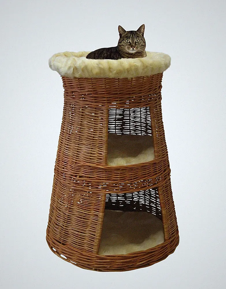 Silvio Design Katzen Doppel-Korbturm Lieblingsplatz Rückzugsort Katzenbaum