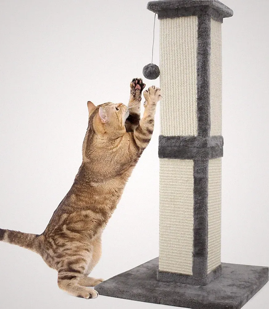 SONGWAY Katzen Kratzbaum Grau Kratzsäule Sisal Kratzspielzeug mit Ball