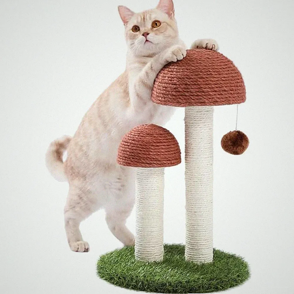Stabiler Kratzbaum für kleine Katzen - Bodenmontage, platzsparend, pflegeleicht