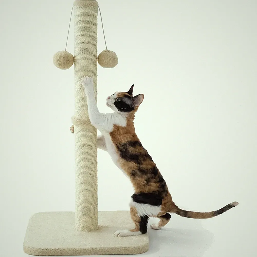 Stilvolle Beige Kratzsäule für Katzen - 36x36x74cm mit Interaktivem Spielzeug