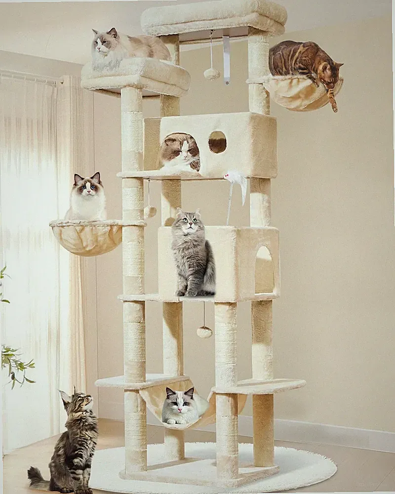 Taoqimiao Katzenkratzbaum MS046M 193 cm XXL 8