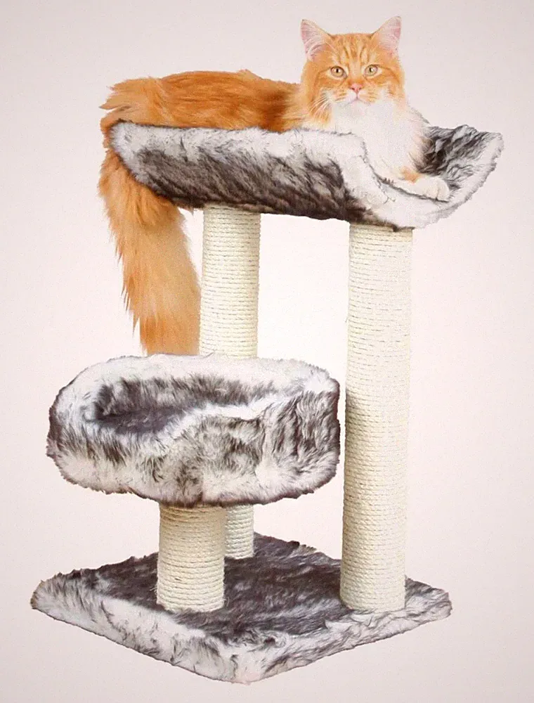 TRIXIE Kratzbaum Isaba Kletterbaum Katzenbaum schwarz-weiß 62 cm