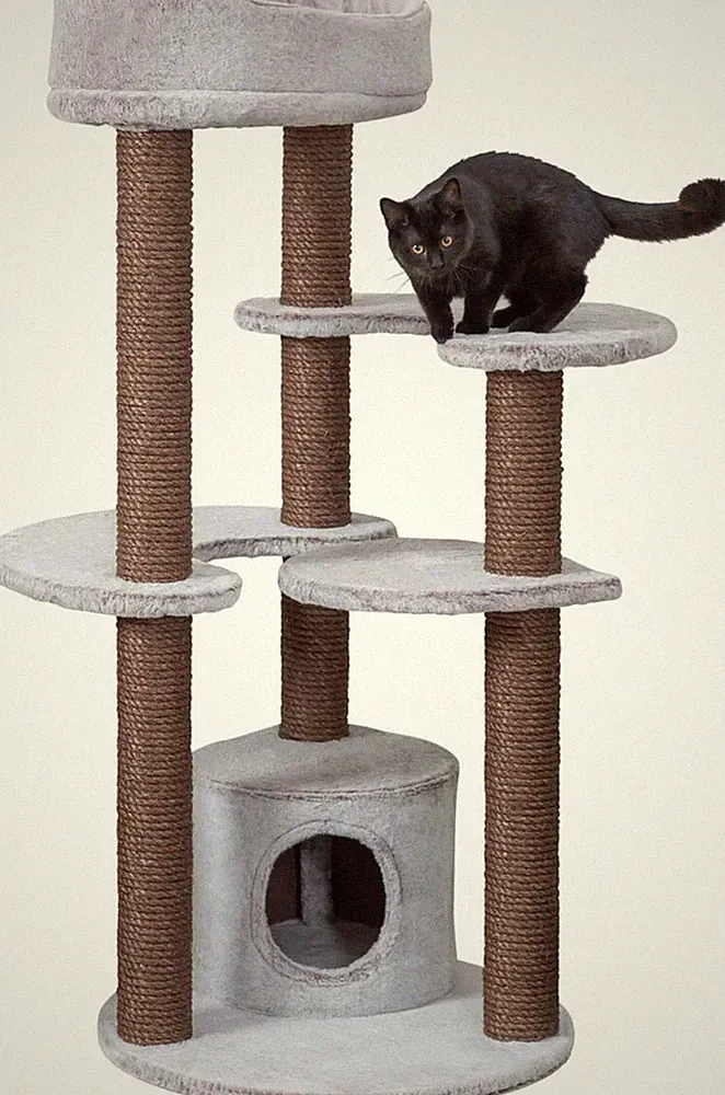 Trixie Kratzbaum Katzenkratzbaum Katzenbaum Afonso 135 cm