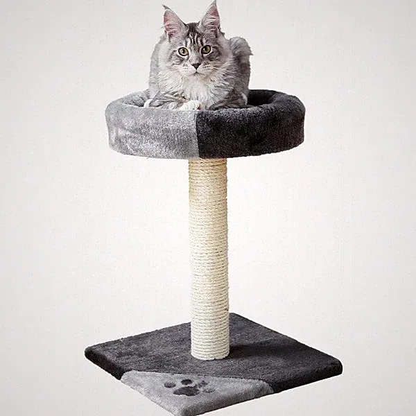 Trixie Tarifa Katzenkratzbaum 2 Plattformen Kätzchen gepolstert Sisal Activity Center