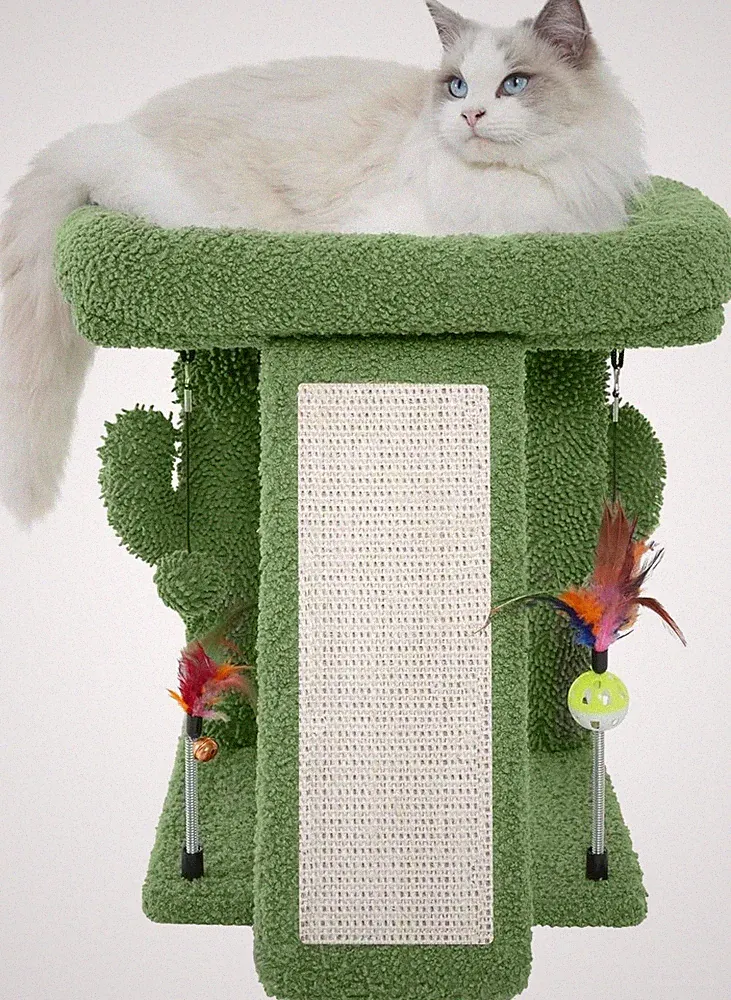 TWDEPART Kratzbaum mit Kratzbaum für Indoor-Katzen, Aktivitätszentrum, K
