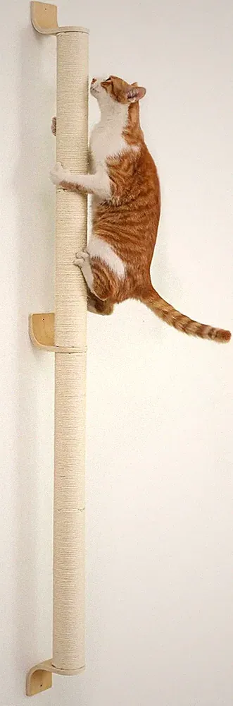 Wandkratzsäule Katzen 154 cm Kratzbaum Sisal stabil zur Wandmontage Katzenmöbel